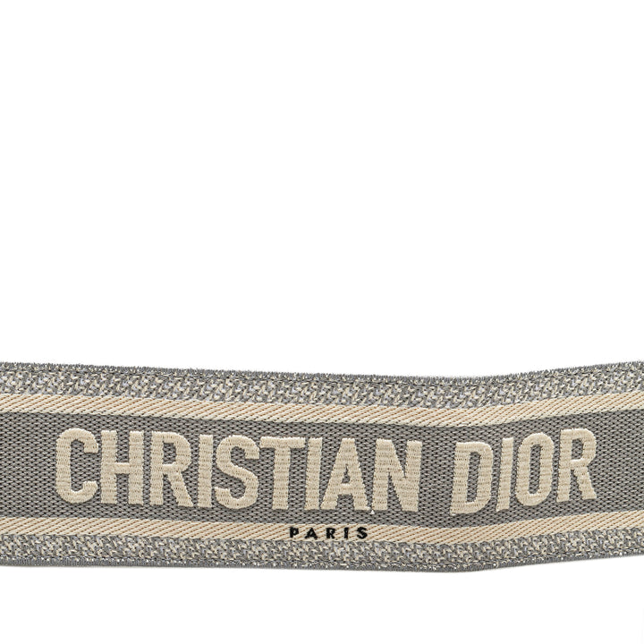 Dior Embroidered Logo Strap Gris