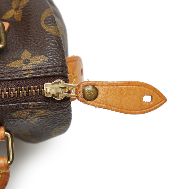 Louis Vuitton Monogram Nano Speedy - gabyparis.fr