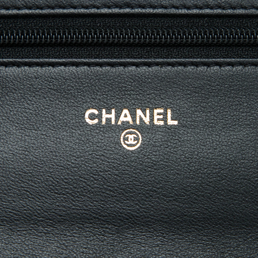 Chanel Matelassé Cuir d'agneau Crest Wallet on Chain