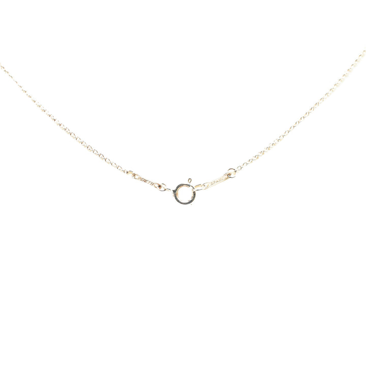 Sterling Silver Eternal Circle Necklace Silver - Gaby Paris