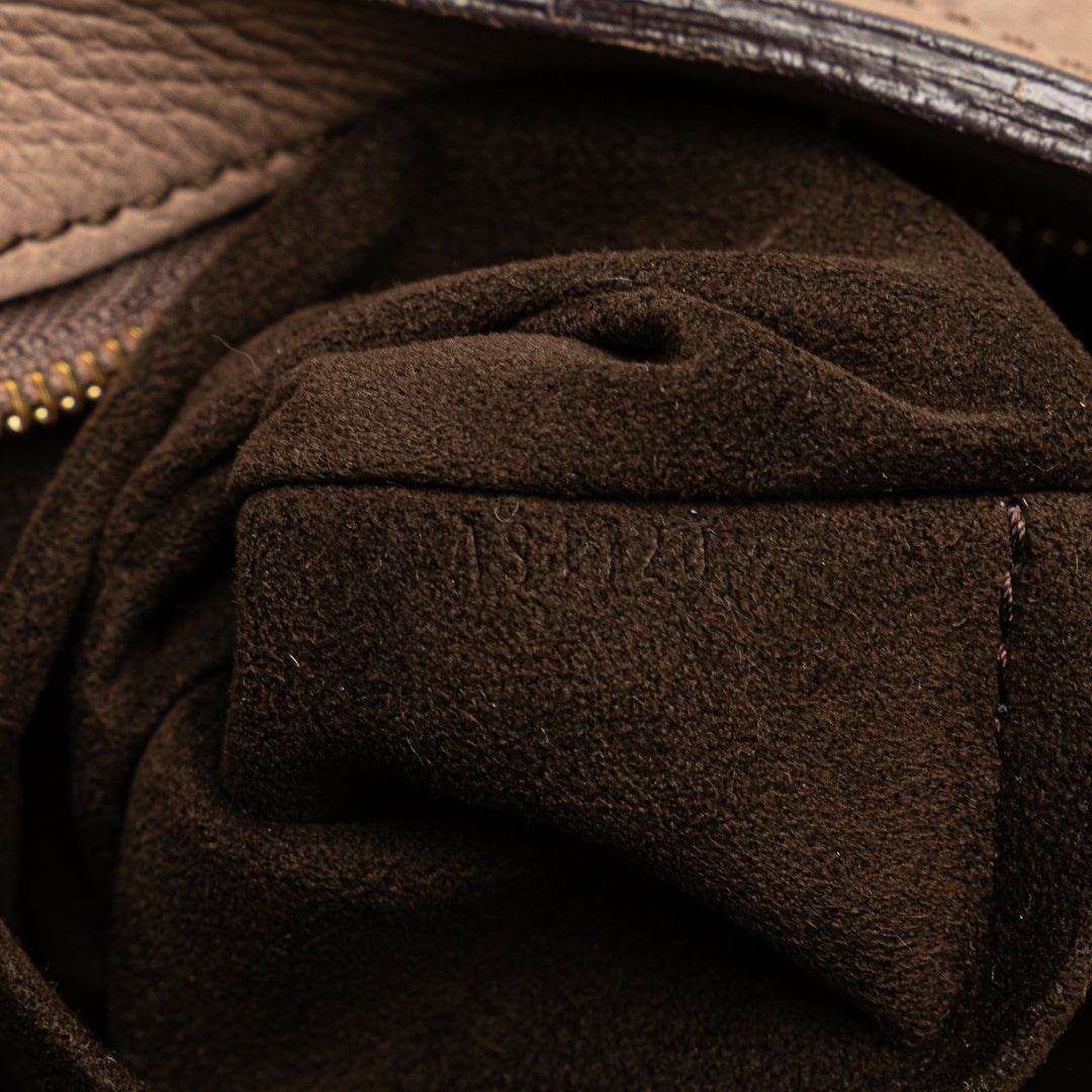 Louis Vuitton Monogram Mahina Solar PM Marron