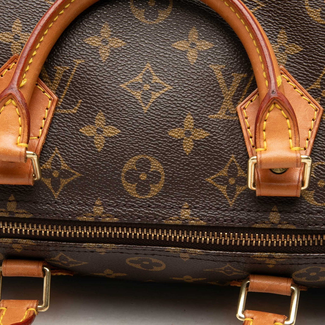Louis Vuitton Speedy 30 Monogram Marron