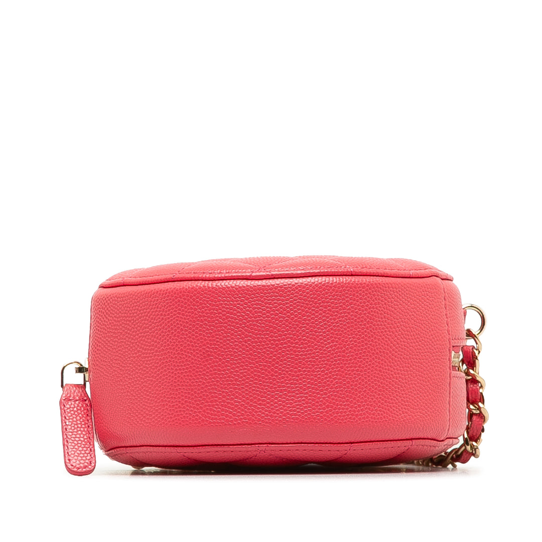 Caviar 19 Round Clutch With Chain Pink - Gaby Paris