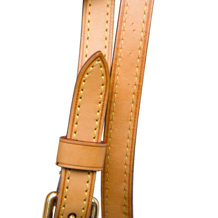 Louis Vuitton Monogram Vernis Brea MM
