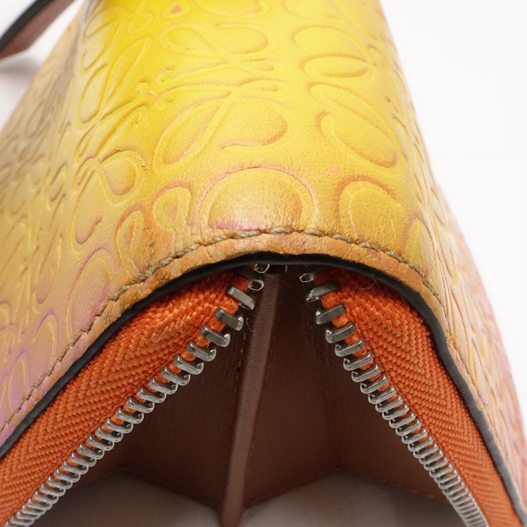 LOEWE Anagram Gradient embossé Zippy Porte-monnaie Cuir