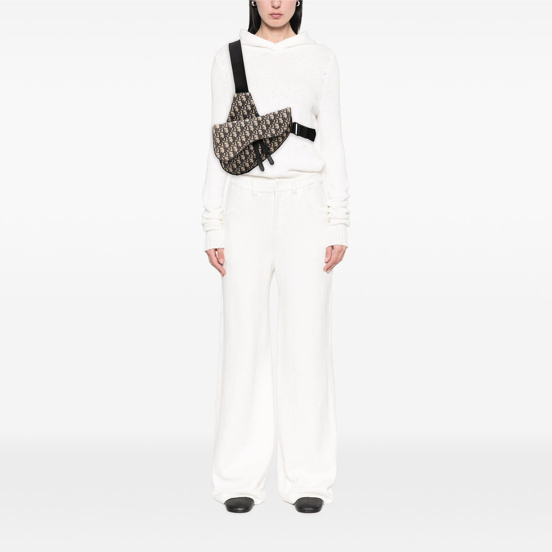 Dior Oblique Toile Saddle Sac porté croisé