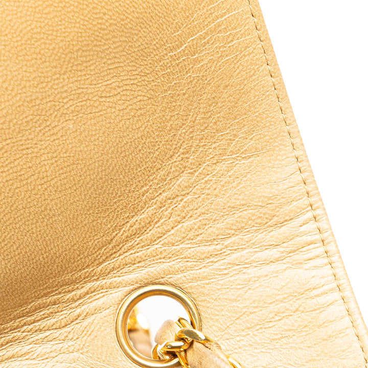 Medium Lambskin Diana Full Flap Brown - Gaby Paris