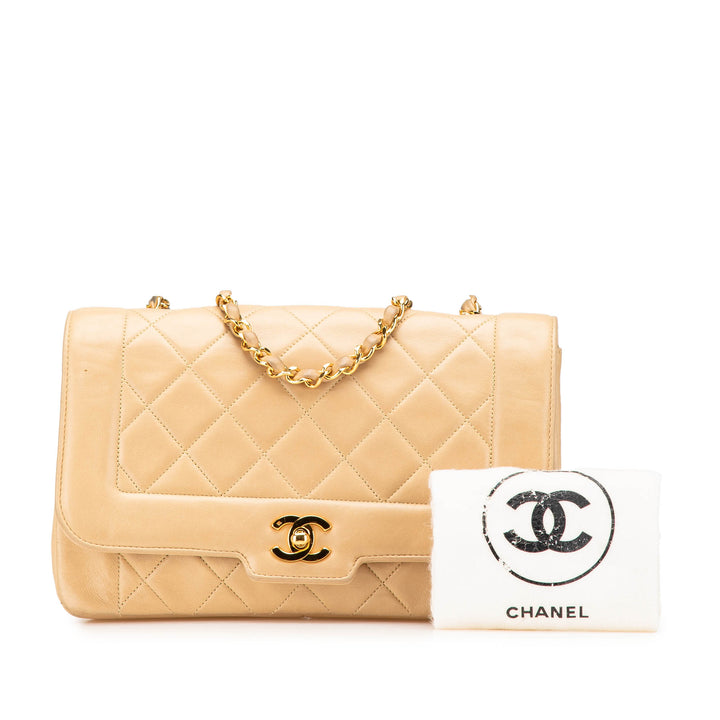Medium Lambskin Diana Full Flap Brown - Gaby Paris