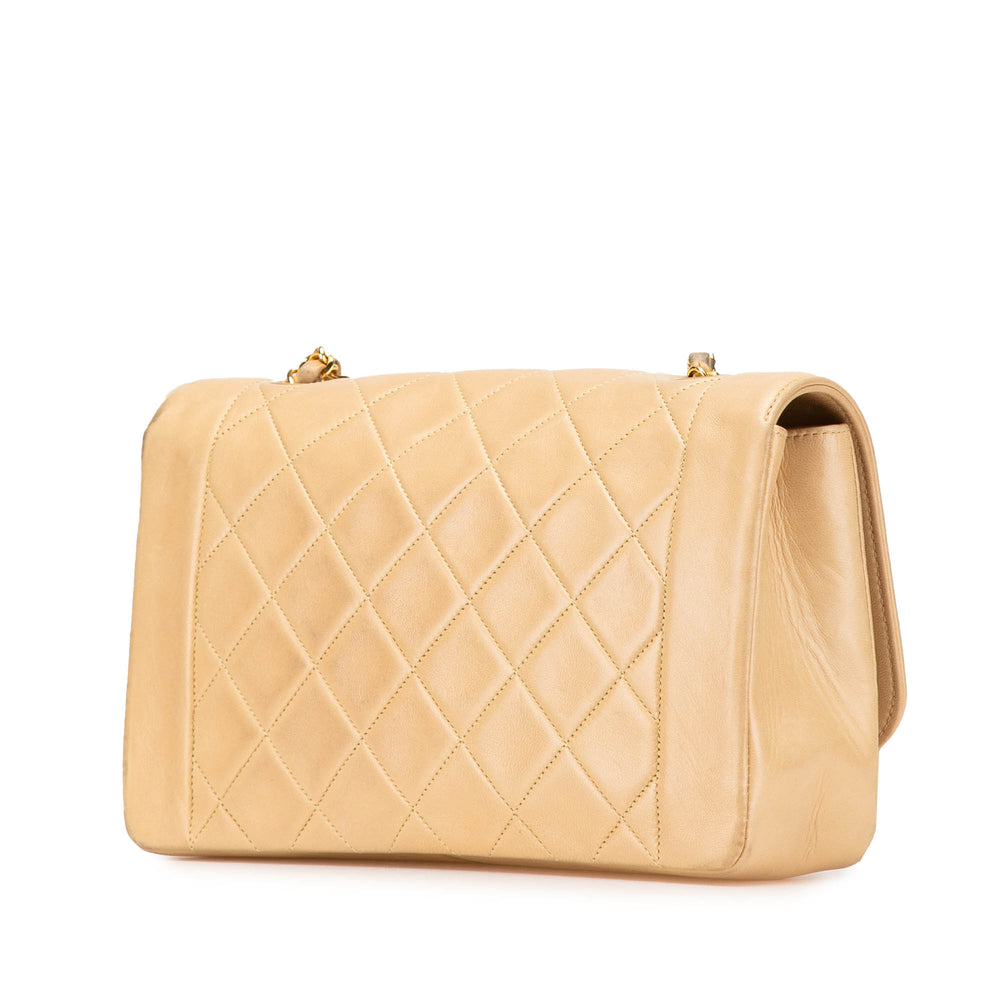 Medium Lambskin Diana Full Flap Brown - Gaby Paris