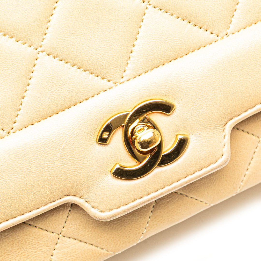 Medium Lambskin Diana Full Flap Brown - Gaby Paris