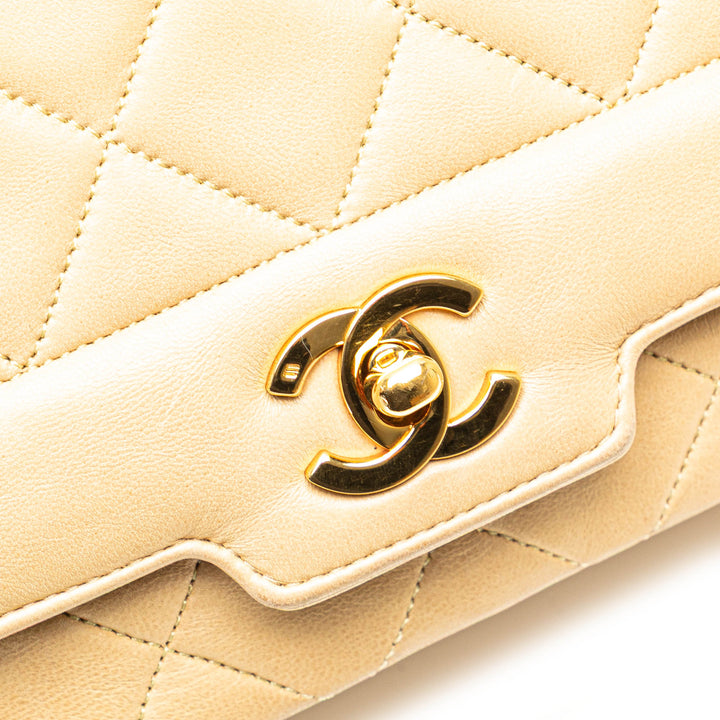 Medium Lambskin Diana Full Flap Brown - Gaby Paris