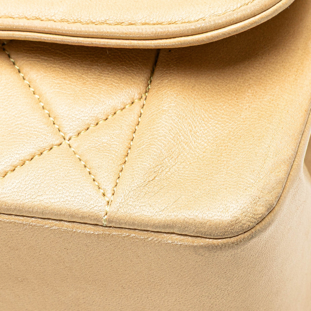 Medium Lambskin Diana Full Flap Brown - Gaby Paris