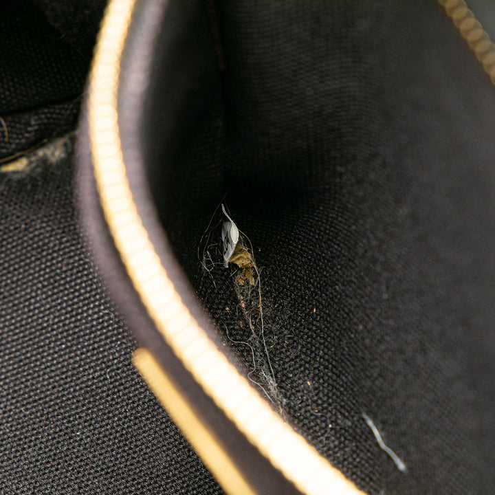 Small Canvas Canapa Logo Satchel Black - Gaby Paris