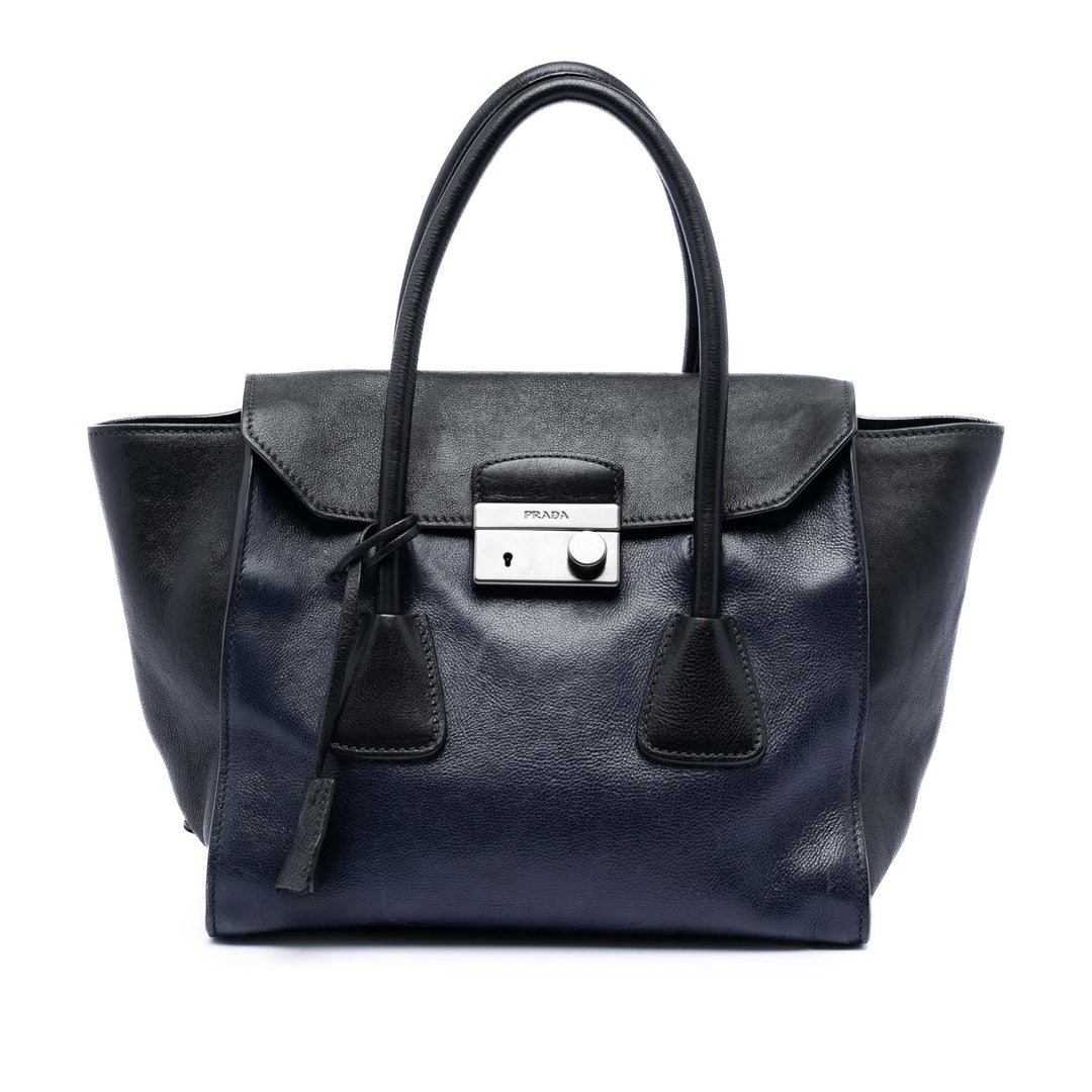 Prada Bicolore Glace Veau Sound Lock Sac Cuir