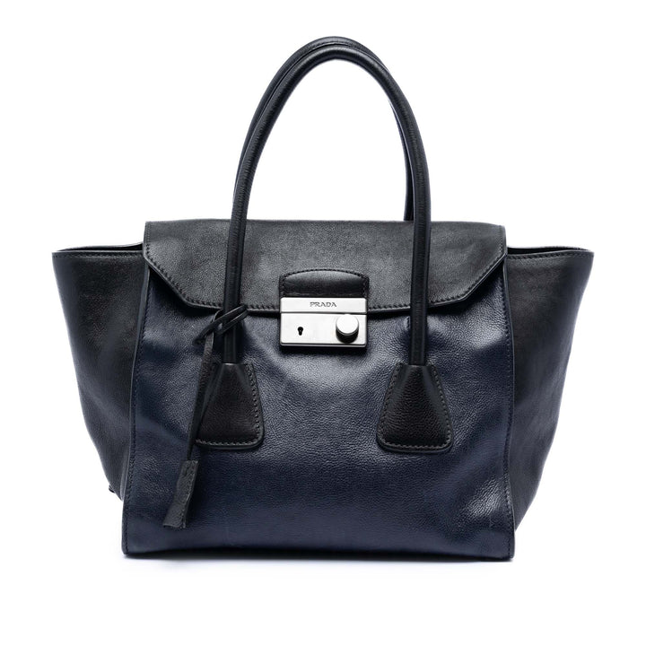 Prada Bicolore Glace Veau Sound Lock Sac Cuir