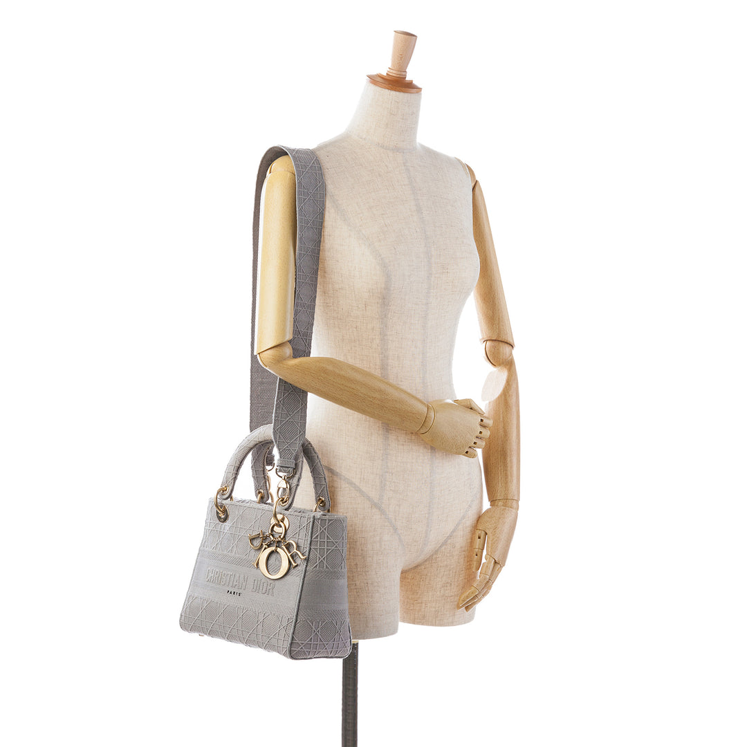 Dior Medium Toile Cannage Lady D Lite