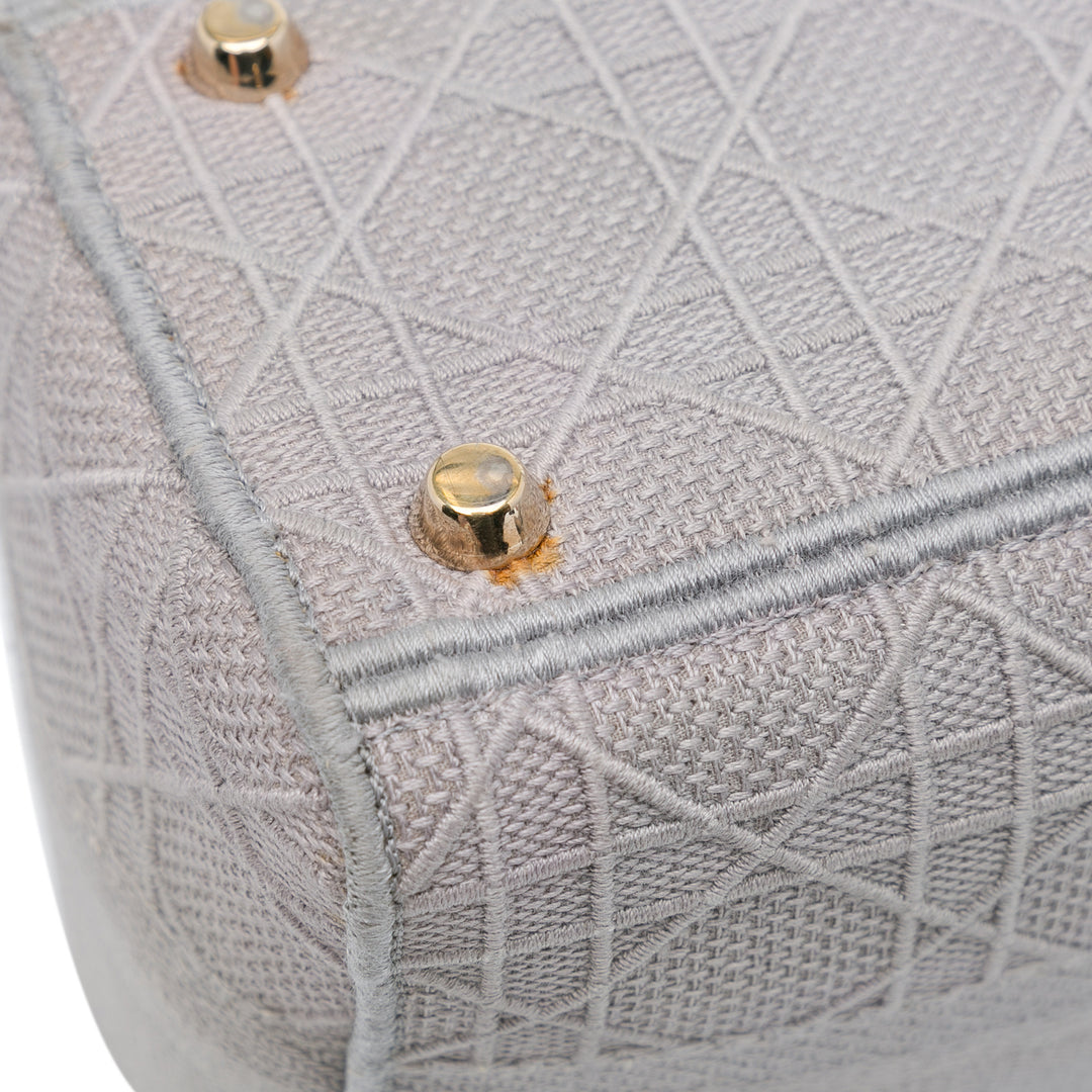 Dior Medium Toile Cannage Lady D Lite