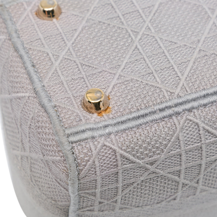 Dior Medium Toile Cannage Lady D Lite