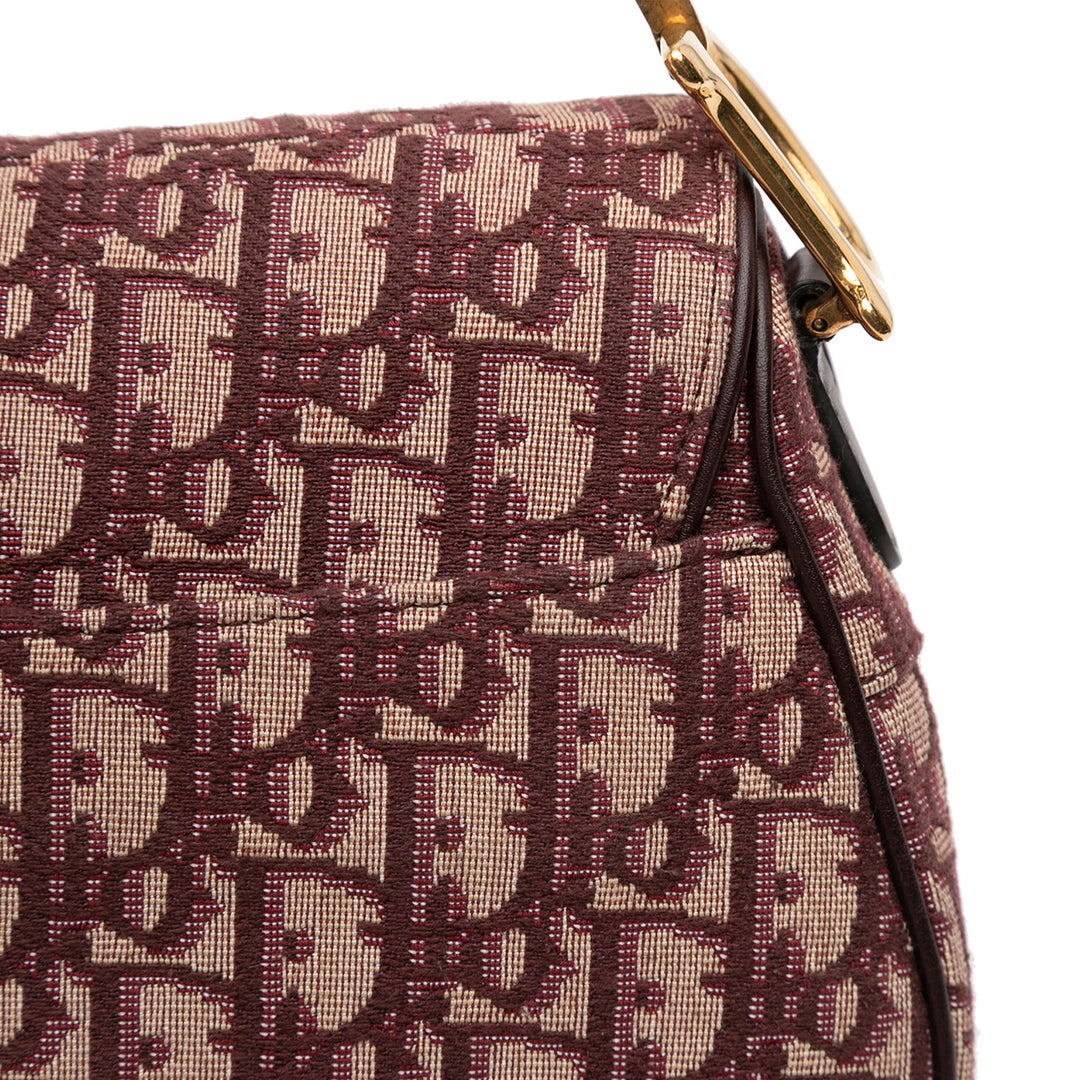 Dior Oblique Toile Saddle Sac