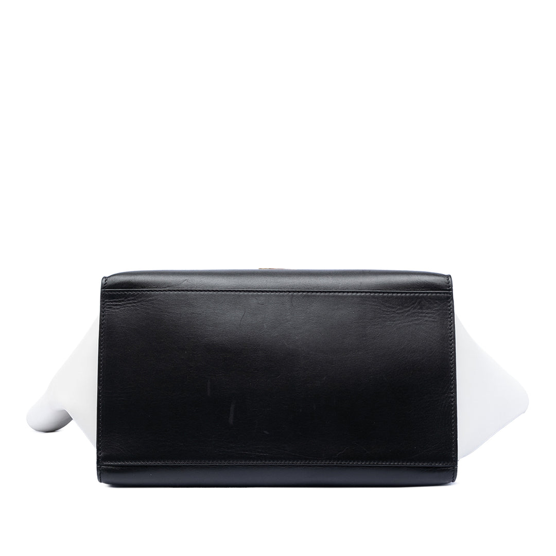 Celine Medium Tricolor Cuir de veau et Daim Trapeze Sac