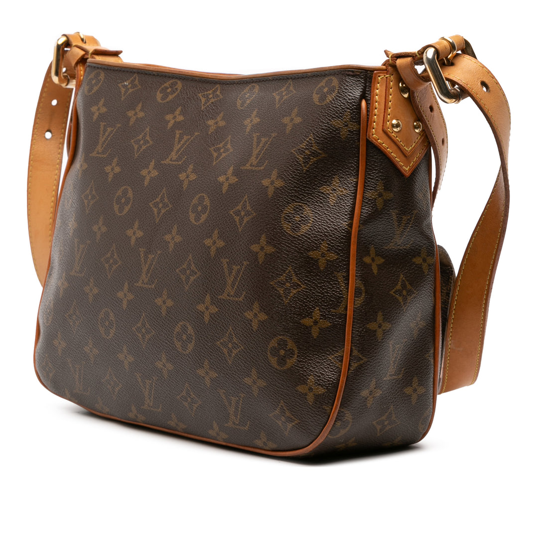 Monogram Hudson GM Brown - Gaby Paris