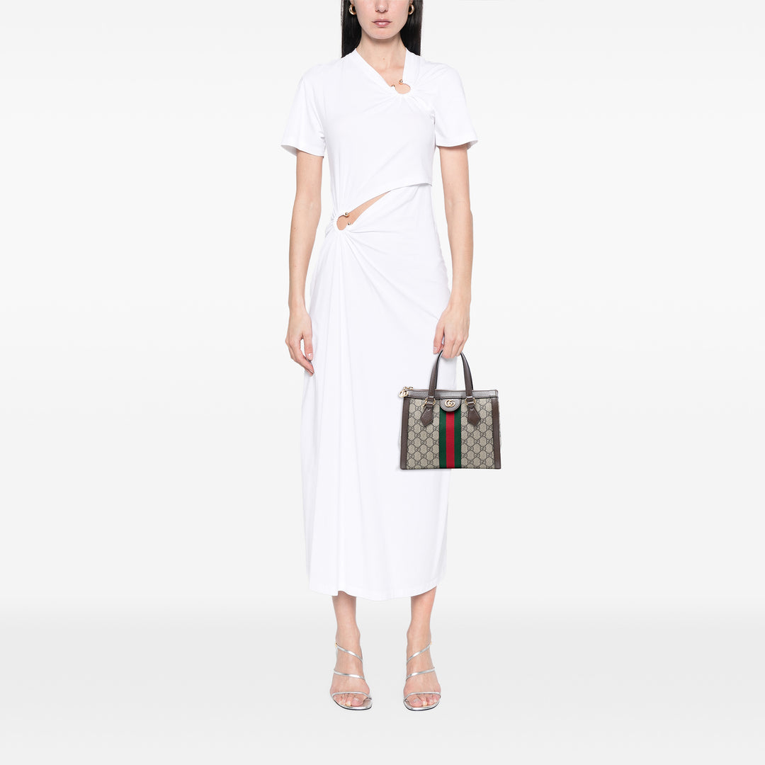 Gucci Small GG Supreme Ophidia Sac