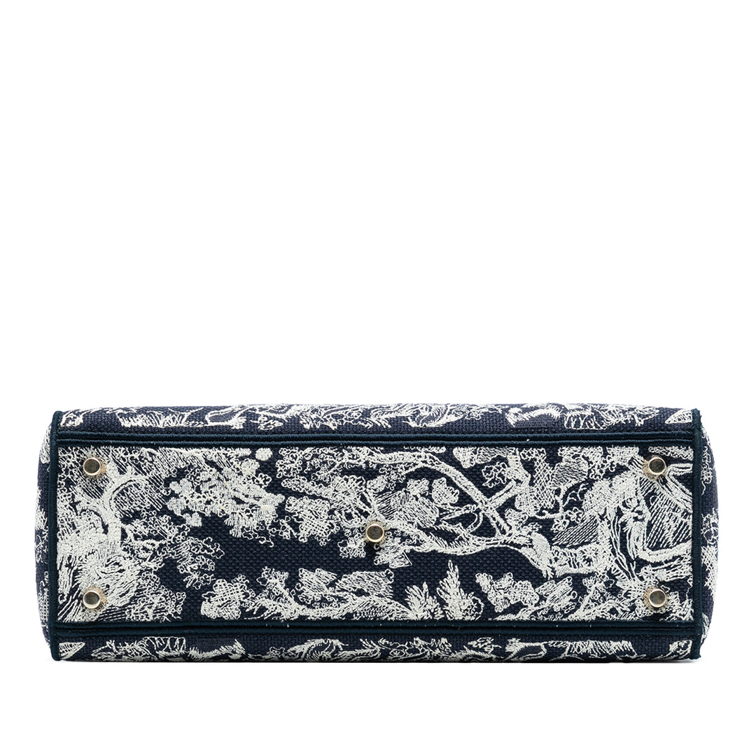 Dior Large brodé Toile Toile de Jouy Lady D Lite