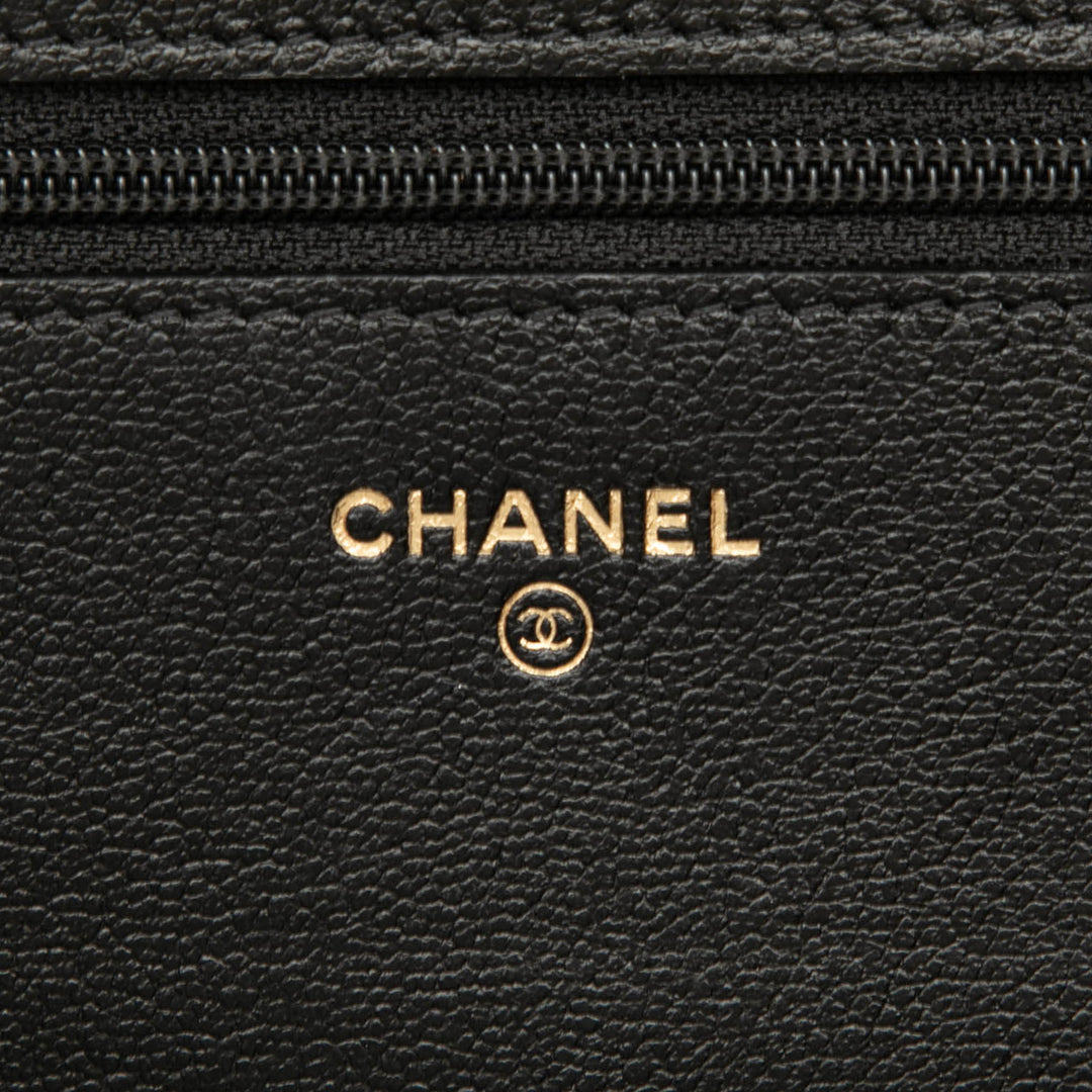 Chanel CC Studded Goatskin Wallet On Chain Noir – GABY PARIS Authentique