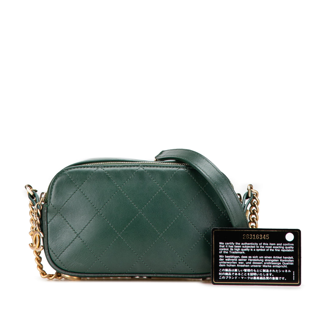 Chanel Stitched Cuir de veau and Grosgrain Button Up Double Zip Sac caméra Vert – GABY PARIS Authentique