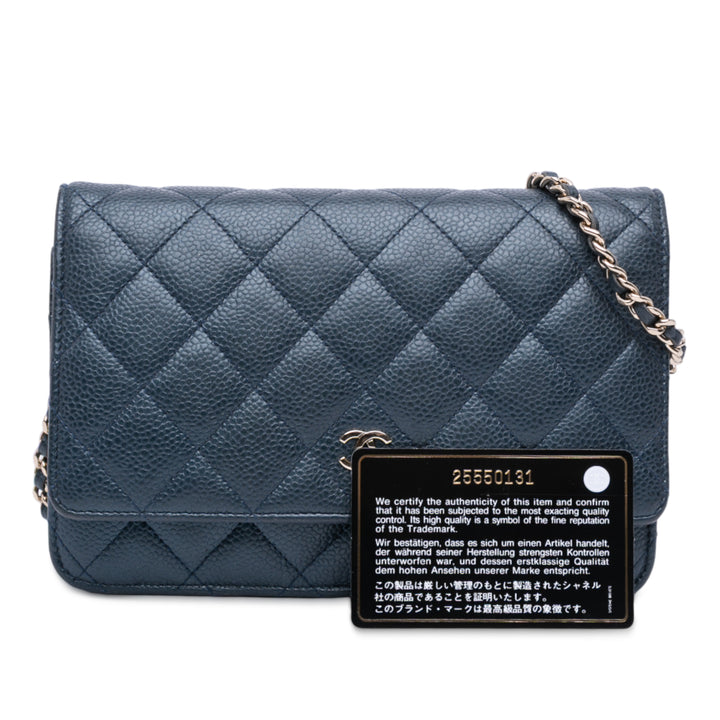 Chanel CC Matelassé Iridescent Caviar Wallet on Chain – GABY PARIS Authentique