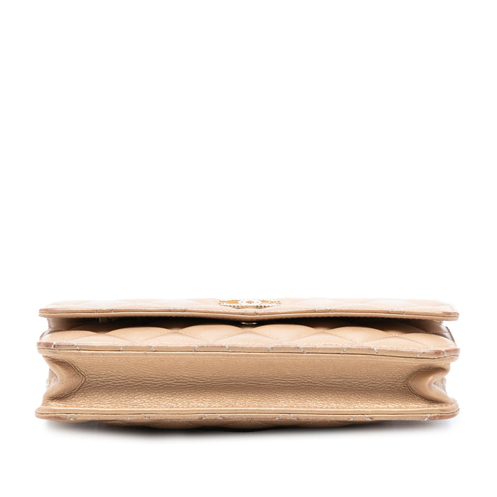 Chanel CC Matelassé Iridescent Cuir d’agneau Coin Charm Wallet on Chain