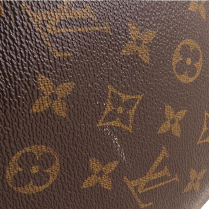 Louis Vuitton Musette Salsa PM Toile Monogram