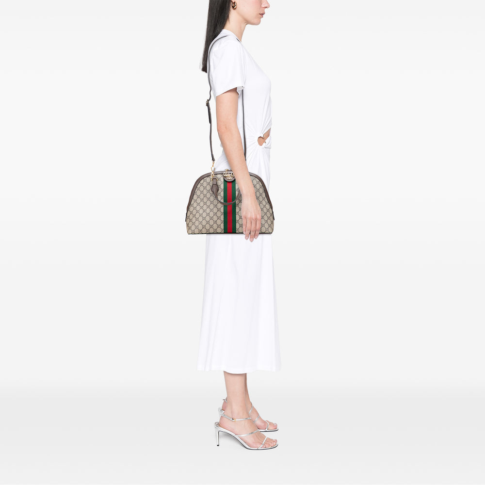 Medium GG Supreme Ophidia Web Satchel Brown - Gaby Paris