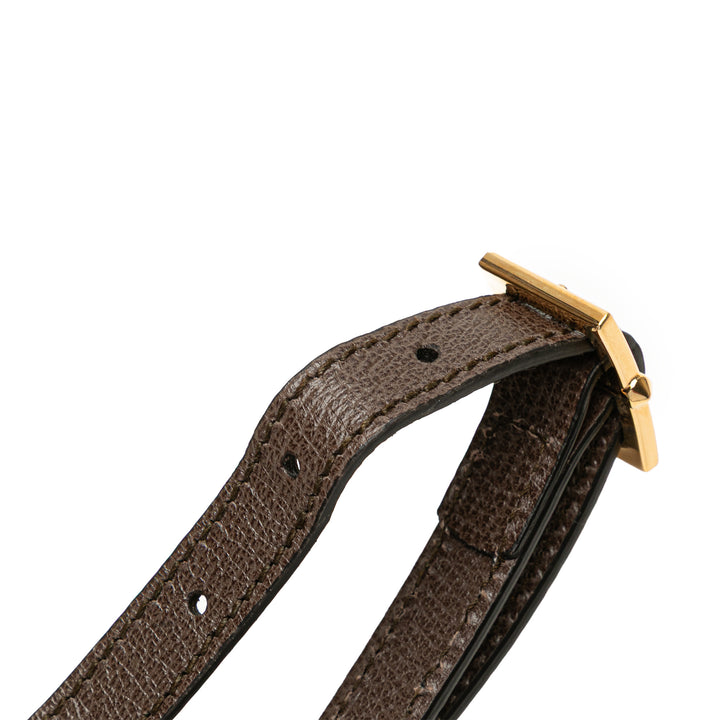 Medium GG Supreme Ophidia Web Satchel Brown - Gaby Paris