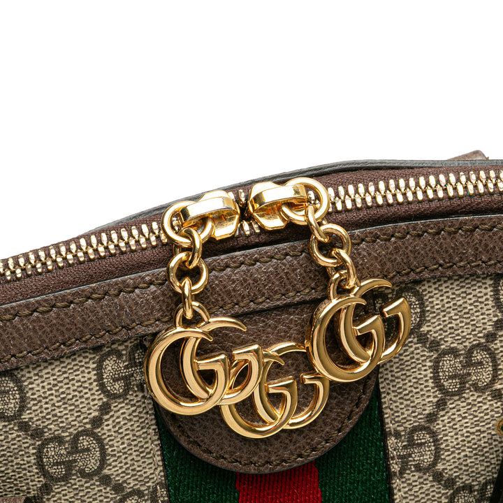 Medium GG Supreme Ophidia Web Satchel Brown - Gaby Paris