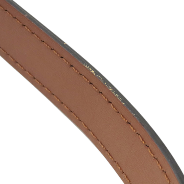 Dauphine MM Monogram Reverse Marron