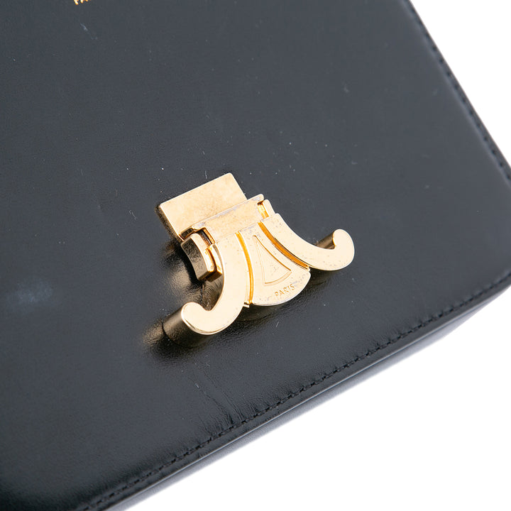 Celine Teen Shiny Cuir de veau Triomphe Crossbody Noir – GABY PARIS Authentique