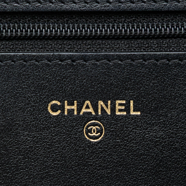 Chanel Matelassé vieilli Cuir de veau Reissue 2.55 Wallet on Chain