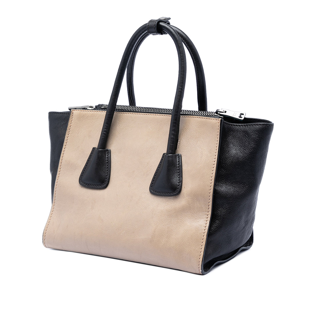 Prada Bicolor Glace Veau Twin Pocket Double Handle Sac