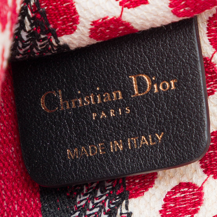 Dior DiorAmour Mini brodé Toile Dots Book Cabas