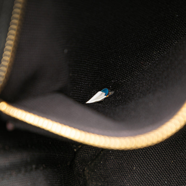 Small Canvas Canapa Logo Satchel Black - Gaby Paris