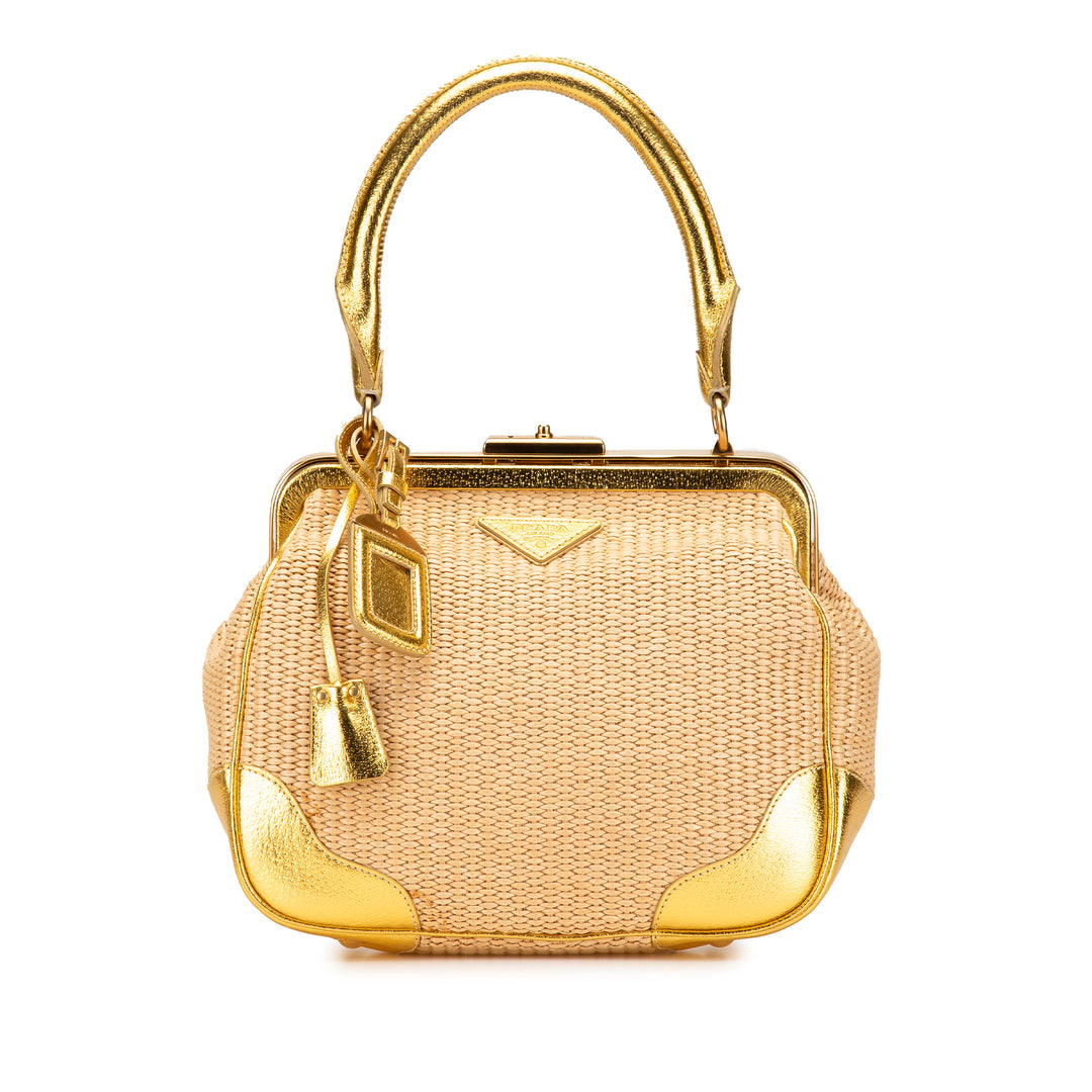 Raffia Frame Handbag Brown - Gaby Paris