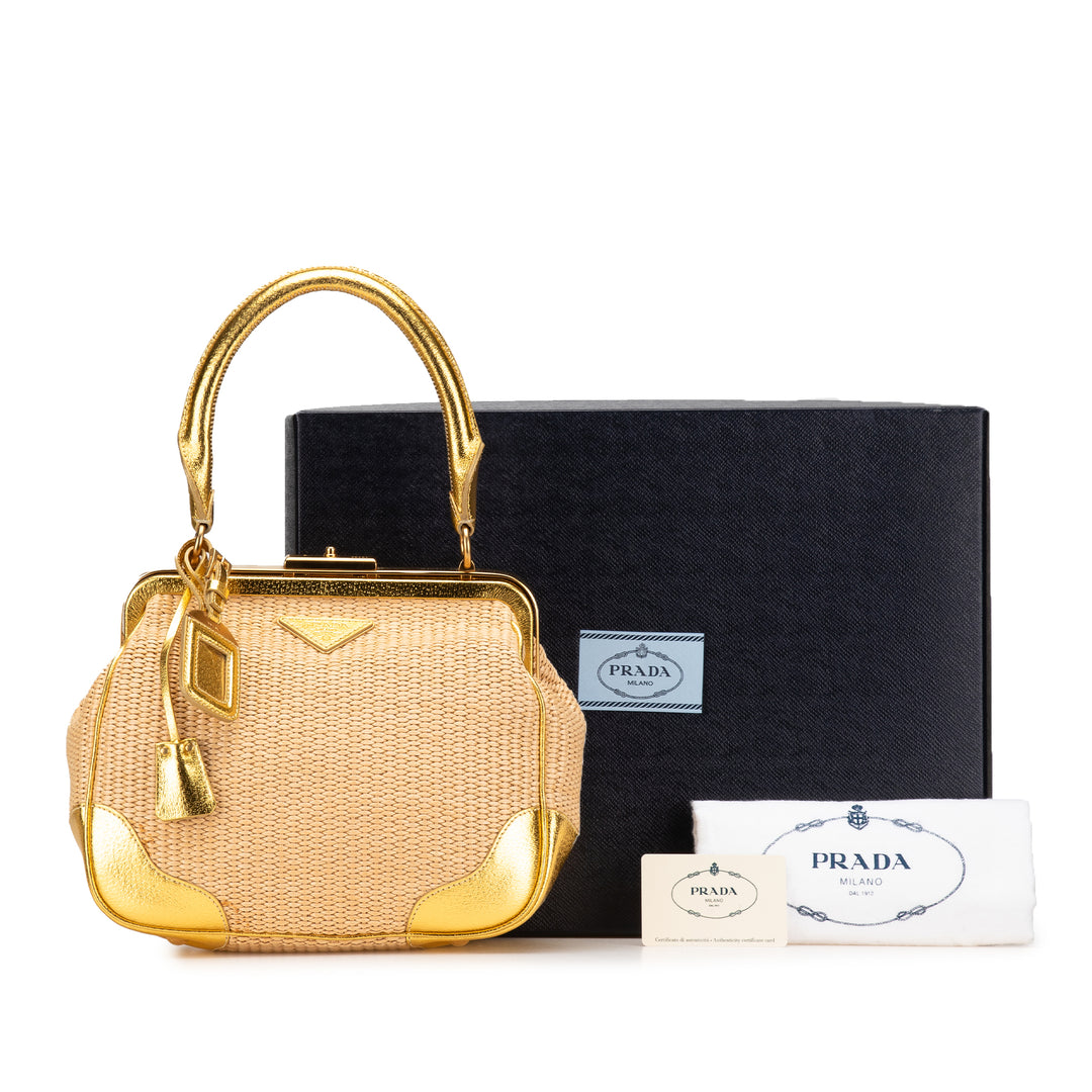 Raffia Frame Handbag Brown - Gaby Paris