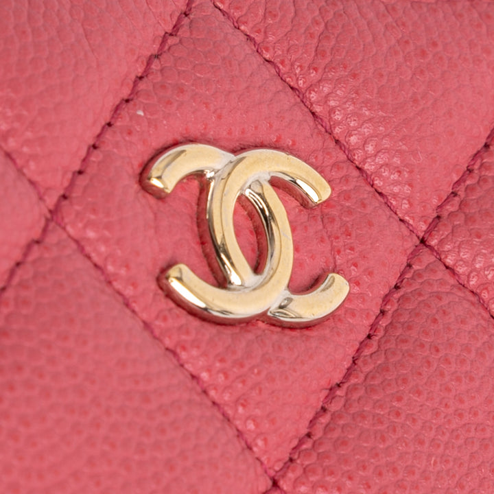 Medium Quilted Caviar O Case Clutch Pink - Gaby Paris