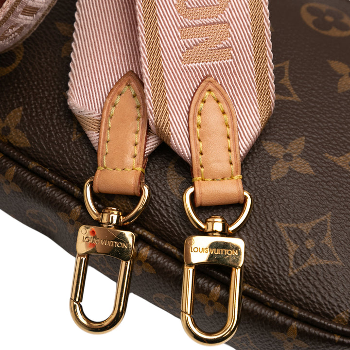 Louis Vuitton Monogram Multi Pochette Accessoires