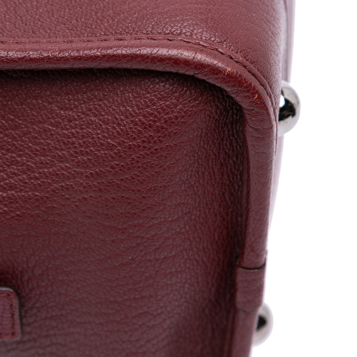 Tricolor Goatskin Amazona 36 Pink - Gaby Paris