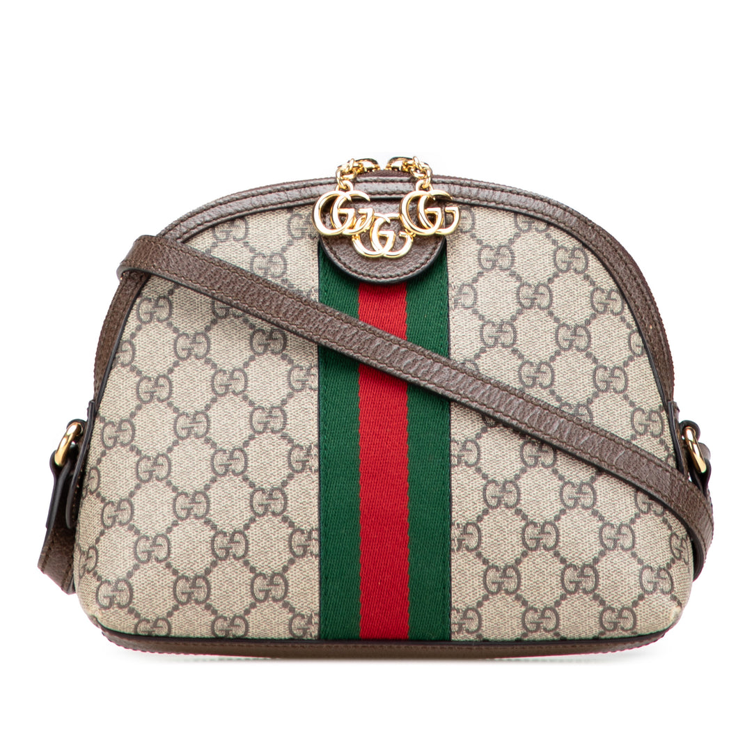 Small GG Supreme Ophidia Dome Crossbody Brown - Gaby Paris