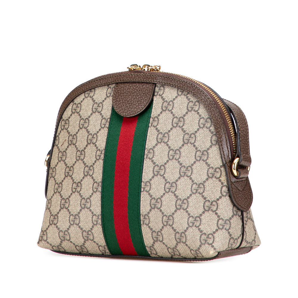 Small GG Supreme Ophidia Dome Crossbody Brown - Gaby Paris