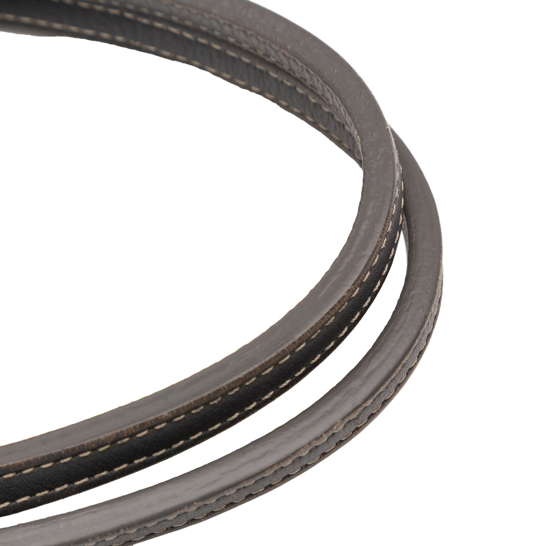 Goyard Goyardine Saint Louis PM