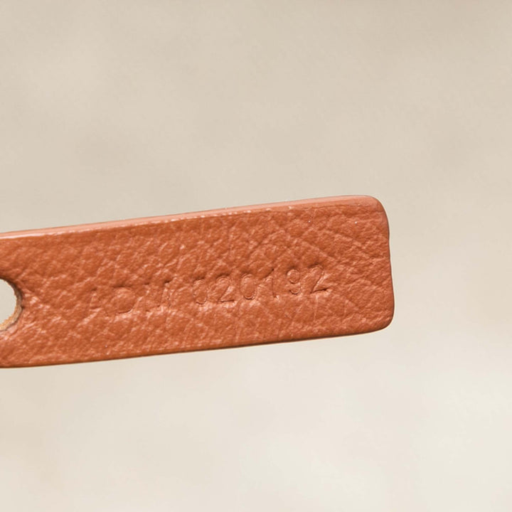 Goyard Goyardine Saint Louis PM